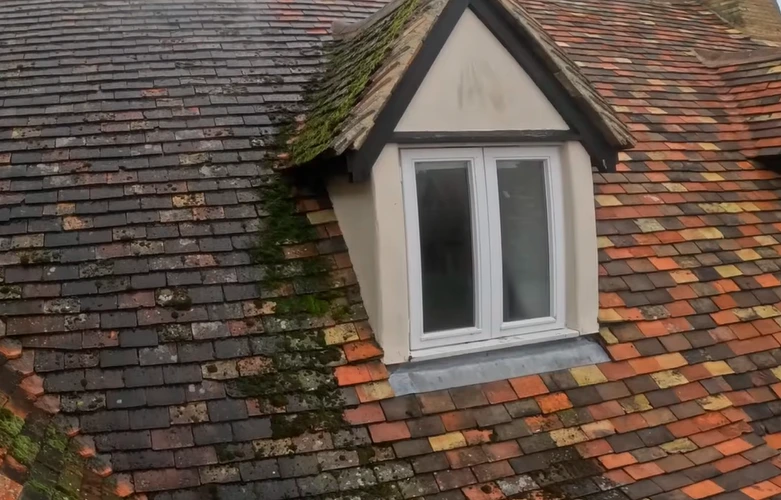 A house having very dirty roof